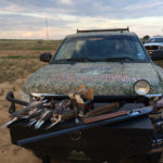 dove-hunting-south-texas-0003