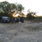 dove-hunting-south-texas-0004