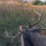 south-texas-deer-hunting-4