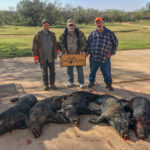 south-texas-hog-hunts-1