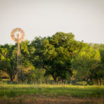 windmill